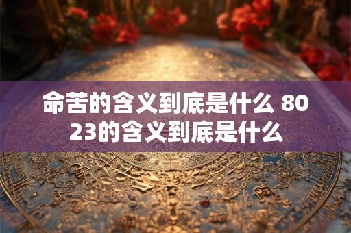 命苦的含义到底是什么 8023的含义到底是什么 命苦的含义到底是什么 8023的含义到底是什么