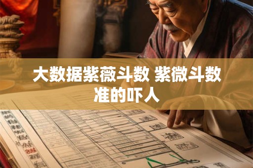 大数据紫薇斗数 紫微斗数准的吓人