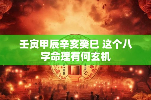 壬寅甲辰辛亥癸巳 这个八字命理有何玄机