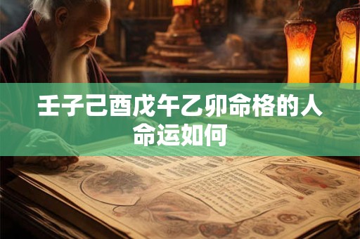 壬子己酉戊午乙卯命格的人命运如何