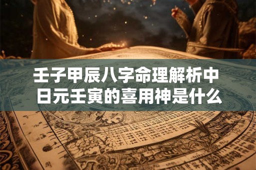 壬子甲辰八字命理解析中 日元壬寅的喜用神是什么