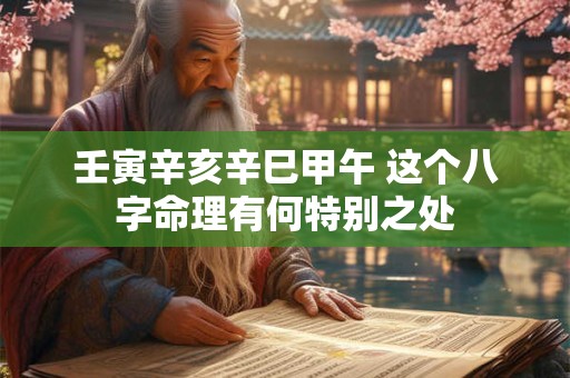 壬寅辛亥辛巳甲午 这个八字命理有何特别之处