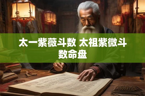 太一紫薇斗数 太祖紫微斗数命盘