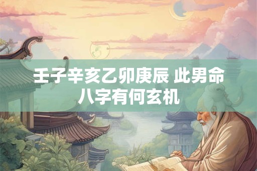 壬子辛亥乙卯庚辰 此男命八字有何玄机