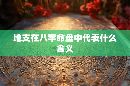 地支在八字命盘中代表什么含义 地支在八字命盘中代表什么含义