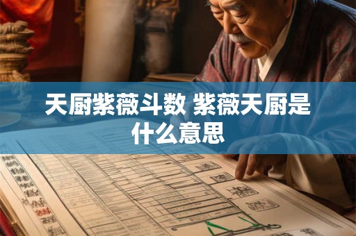 天厨紫薇斗数 紫薇天厨是什么意思