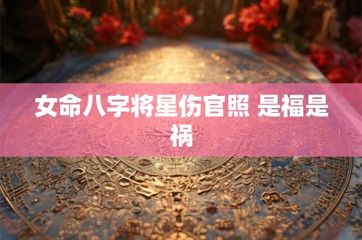 女命八字将星伤官照 是福是祸