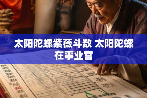 太阳陀螺紫薇斗数 太阳陀螺在事业宫