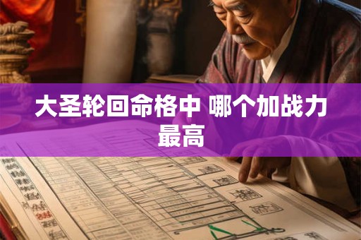 大圣轮回命格中 哪个加战力最高