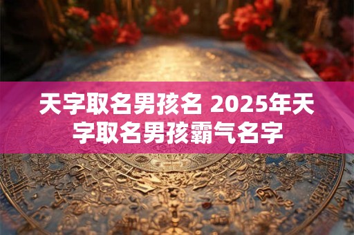 天字取名男孩名 2025年天字取名男孩霸气名字