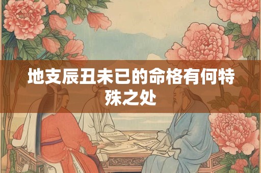 地支辰丑未已的命格有何特殊之处