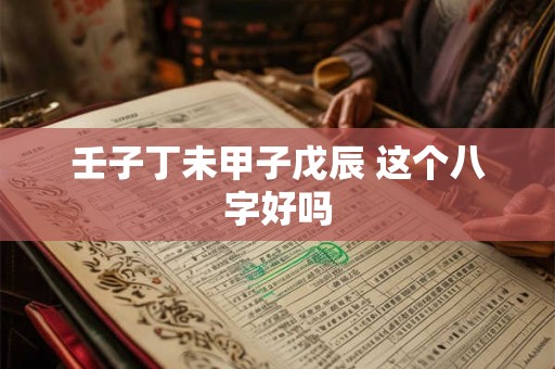 壬子丁未甲子戊辰 这个八字好吗