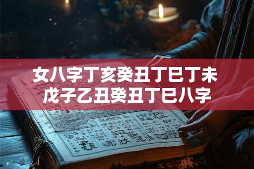 女八字丁亥癸丑丁巳丁未 戊子乙丑癸丑丁巳八字
