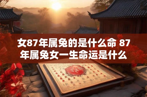 女87年属兔的是什么命 87年属兔女一生命运是什么