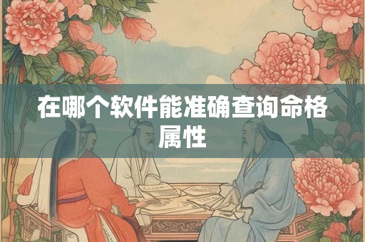 在哪个软件能准确查询命格属性