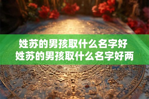 姓苏的男孩取什么名字好 姓苏的男孩取什么名字好两个字古风