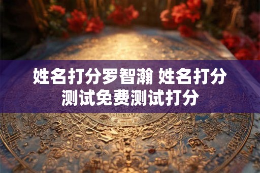 姓名打分罗智瀚 姓名打分测试免费测试打分