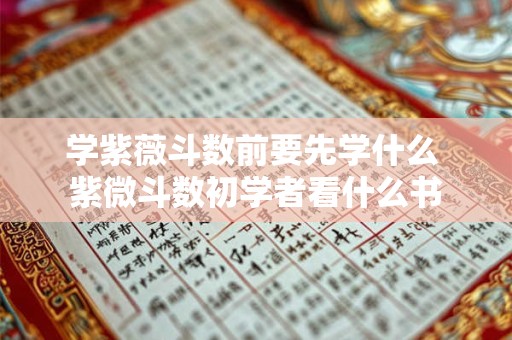 学紫薇斗数前要先学什么 紫微斗数初学者看什么书