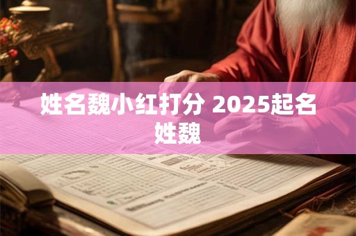 姓名魏小红打分 2025起名姓魏