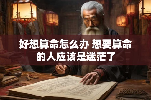 好想算命怎么办 想要算命的人应该是迷茫了