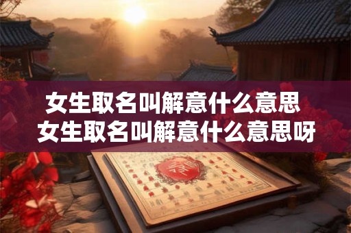 女生取名叫解意什么意思 女生取名叫解意什么意思呀