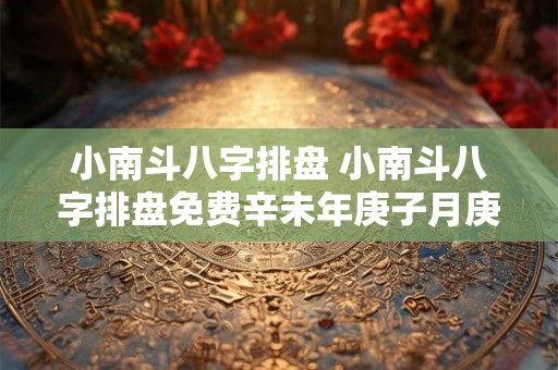 小南斗八字排盘 小南斗八字排盘免费辛未年庚子月庚辰日癸未时男生