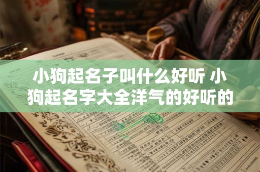 小狗起名子叫什么好听 小狗起名字大全洋气的好听的