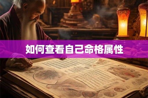 如何查看自己命格属性