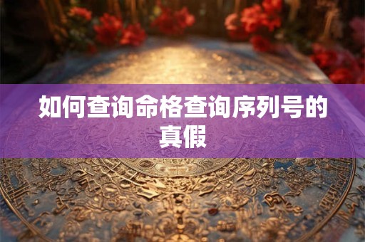 如何查询命格查询序列号的真假