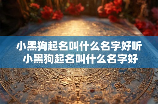 小黑狗起名叫什么名字好听 小黑狗起名叫什么名字好听女生 小黑狗起名叫什么名字好听 小黑狗起名叫什么名字好听女生