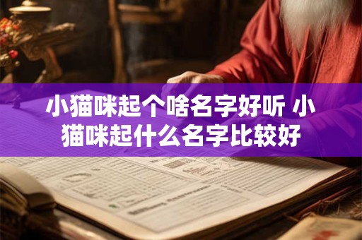 小猫咪起个啥名字好听 小猫咪起什么名字比较好