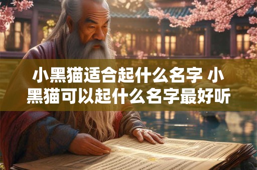 小黑猫适合起什么名字 小黑猫可以起什么名字最好听呢