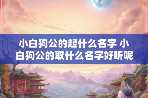 小白狗公的起什么名字 小白狗公的取什么名字好听呢 小白狗公的起什么名字 小白狗公的取什么名字好听呢