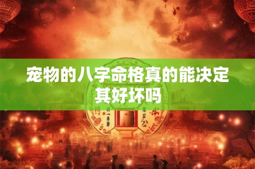 宠物的八字命格真的能决定其好坏吗