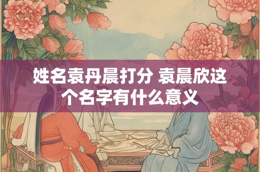 姓名袁丹晨打分 袁晨欣这个名字有什么意义