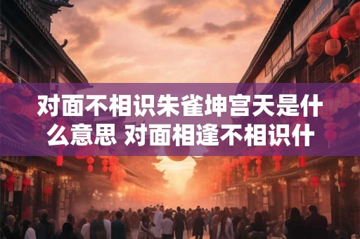对面不相识朱雀坤宫天是什么意思 对面相逢不相识什么意思