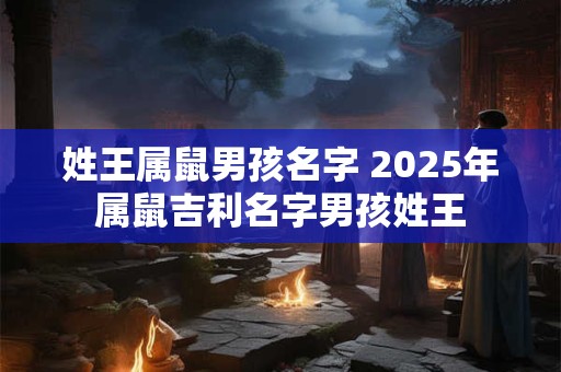 姓王属鼠男孩名字 2025年属鼠吉利名字男孩姓王