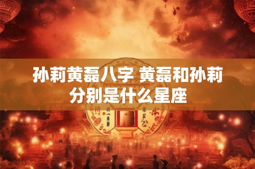 孙莉黄磊八字 黄磊和孙莉分别是什么星座