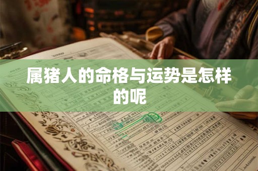 属猪人的命格与运势是怎样的呢
