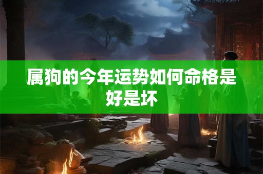 详细阅读:属狗的今年运势如何命格是好是坏 属狗的今年运势如何命格是好是坏