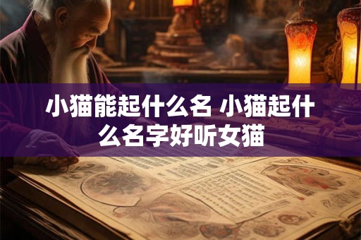 小猫能起什么名 小猫起什么名字好听女猫
