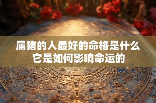 属猪的人最好的命格是什么它是如何影响命运的 属猪的人最好的命格是什么它是如何影响命运的