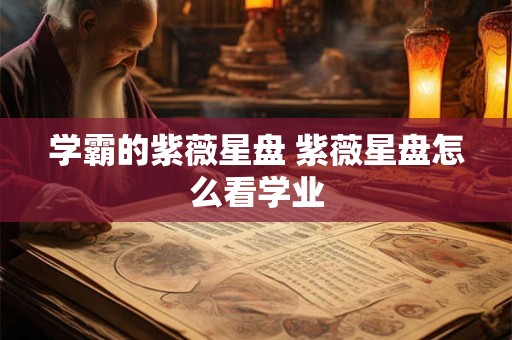 学霸的紫薇星盘 紫薇星盘怎么看学业 学霸的紫薇星盘 紫薇星盘怎么看学业