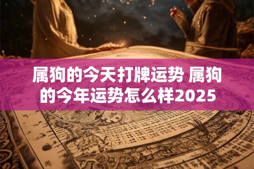 属狗的今天打牌运势 属狗的今年运势怎么样2025
