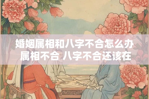 婚姻属相和八字不合怎么办 属相不合 八字不合还该在一起么