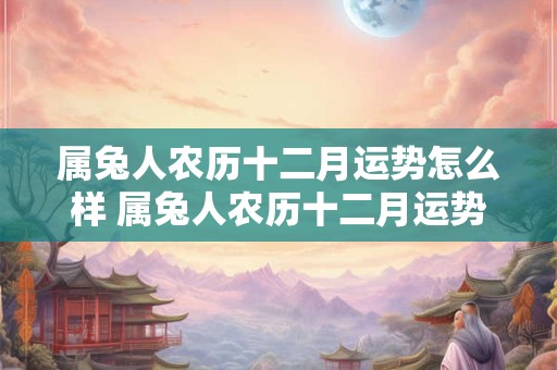 属兔人农历十二月运势怎么样 属兔人农历十二月运势怎么样呢