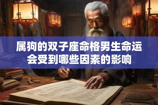 属狗的双子座命格男生命运会受到哪些因素的影响