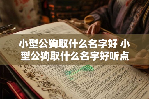 小型公狗取什么名字好 小型公狗取什么名字好听点