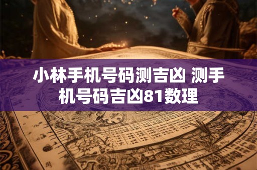 小林手机号码测吉凶 测手机号码吉凶81数理