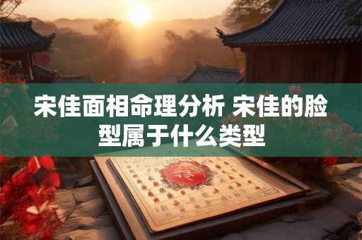 宋佳面相命理分析 宋佳的脸型属于什么类型